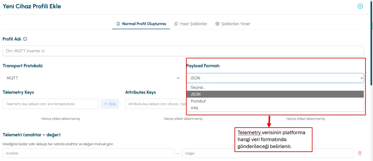 Telemetry and attribute fields